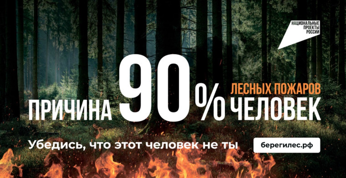 95% причин лесных пожаров человек